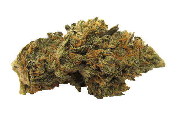 Romulan Marijuana strain Durango CO