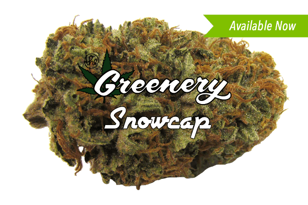 Snowcap Marijuana strain Durango CO