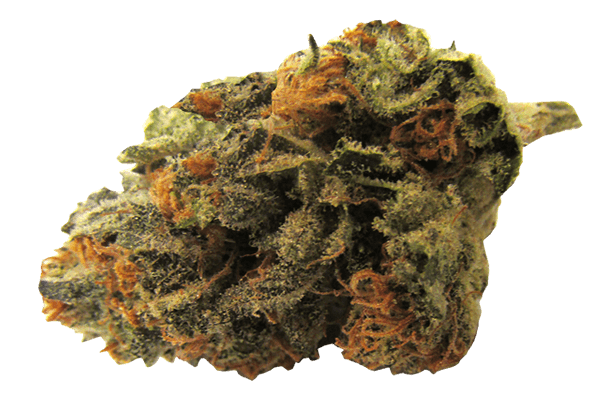 Strawberry Cough Durango CO