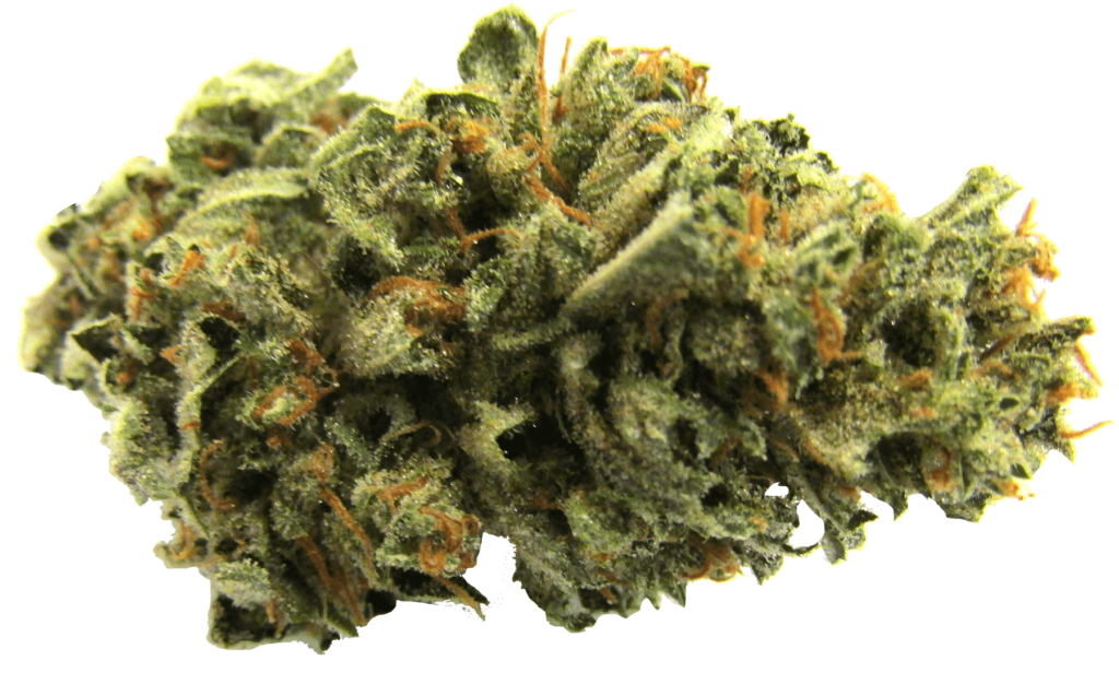 Super Lemon Haze Marijuana strain Durango CO