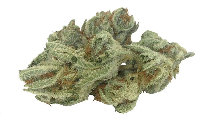 White FireOG Marijuana strain Durango CO