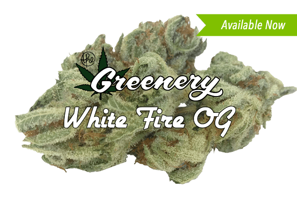 White Fire OG Marijuana strain Durango CO