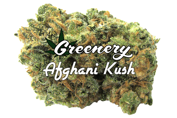 Afghani Kush | Durango CO