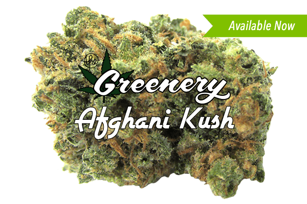Afghani Kush Durango CO