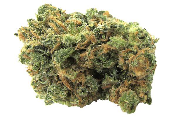 Afghani Kush Durango CO