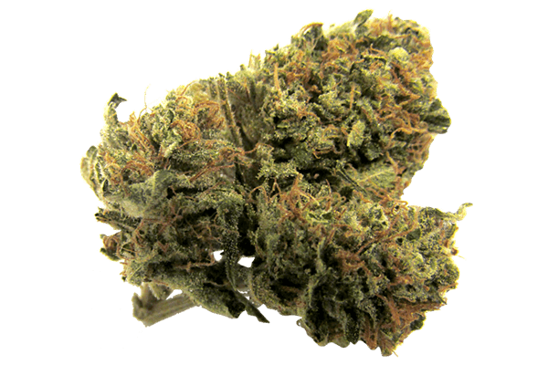 Diamond Jedi | Durango CO