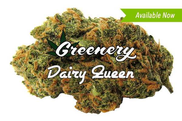 Diary Queen | Durango CO