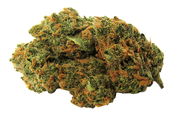 Diary Queen | Durango CO