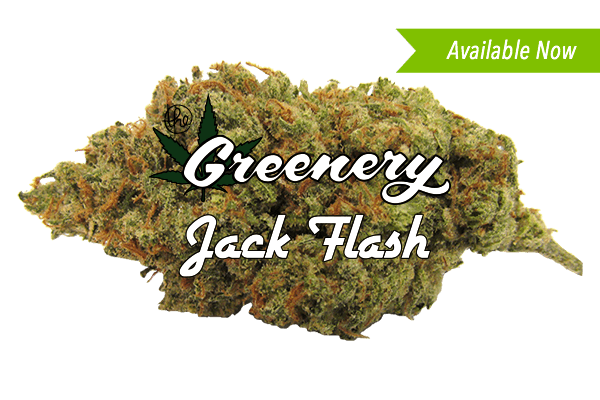 Jack Flash | Durango CO