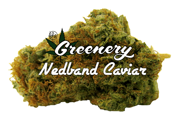 Nedband Caviar | Durango CO