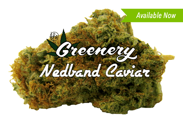 Nedband Caviar Durango CO