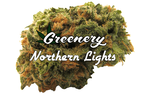 Northern Lights | Durango CO