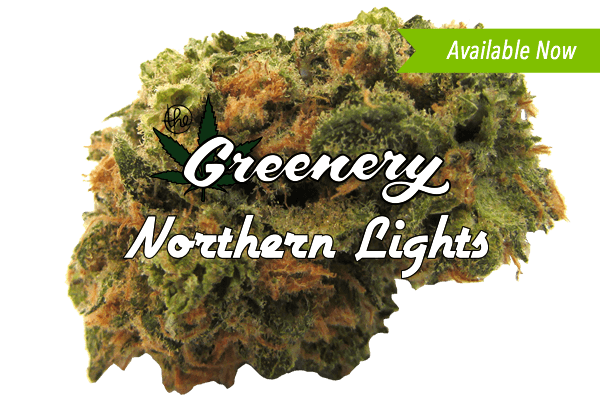 Northern LIghts #5 Durango CO