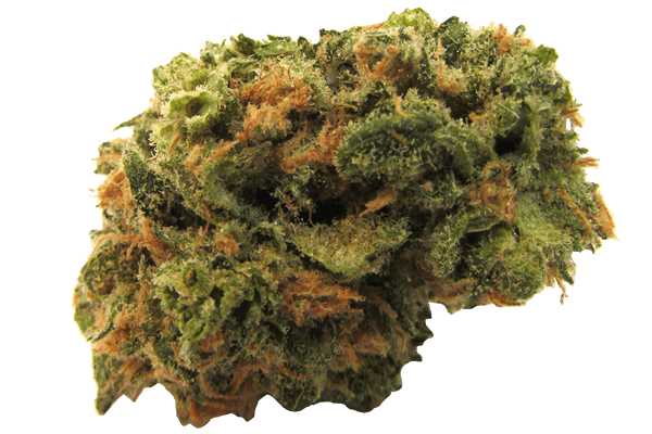 Northern Lights #5 Durango CO