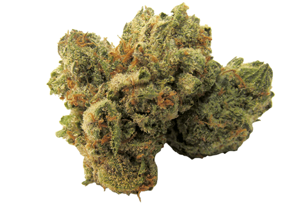 OG Bubba Kush Durango CO