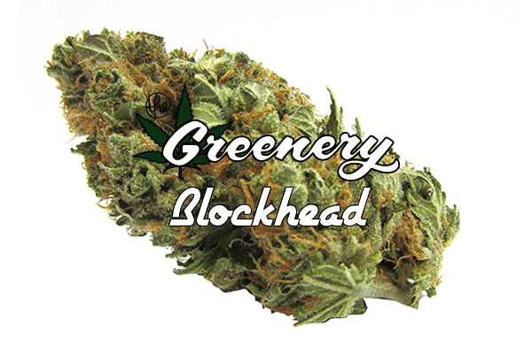 Blockhead | Durango CO