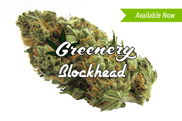Blockhead | Durango CO