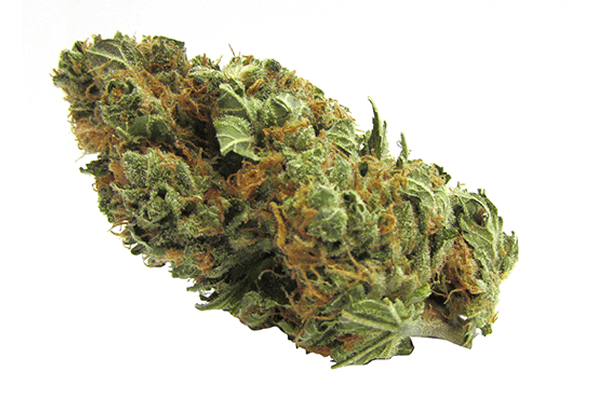 Blockhead | Durango CO