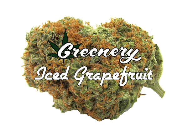 Iced Grapefruit | Durango CO