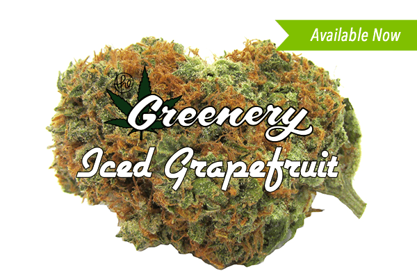 Iced Grapefruit | Durango CO
