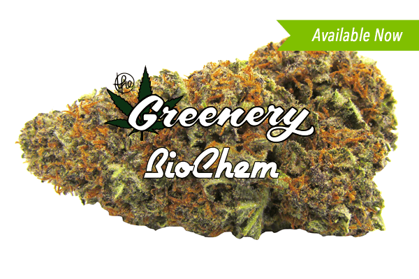 BioChem | Durango CO