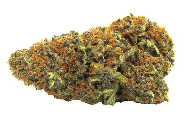 BioChem | Durango CO