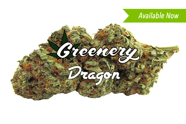 Dragon | Durango CO