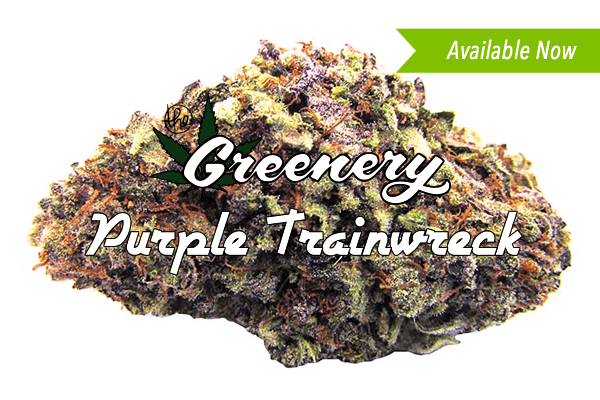 Purple Trainwreck | Durango CO