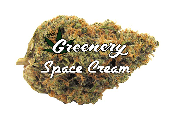 Space Cream | Durango CO