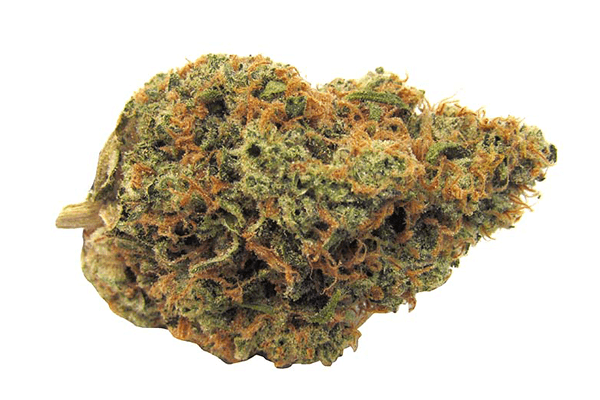 Space Cream | Durango CO