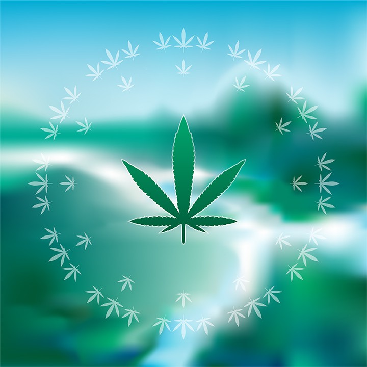 Durango Colorado marijuana blog