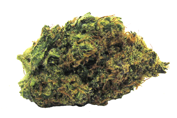 Marijuana Strains - Dutch Treat Haze - Durango Co
