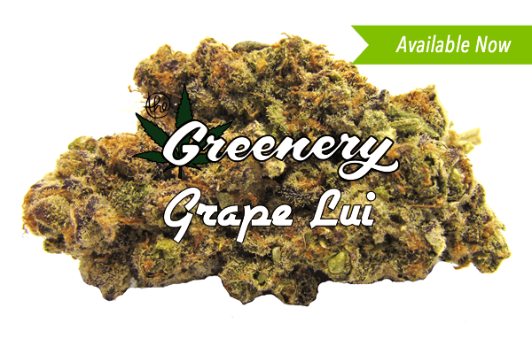 Marijuana Strains - Grape Lui - Durango Greenery