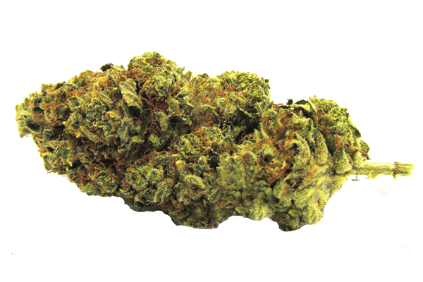 Weed Strain - Kush Cleaner - Durango CO