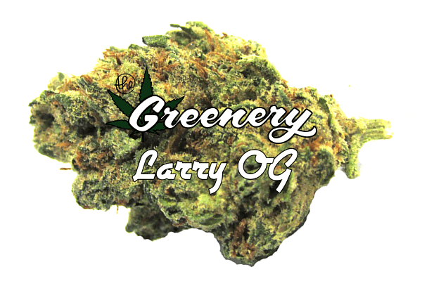 Marijuana Strains - Larry OG - Durango Co