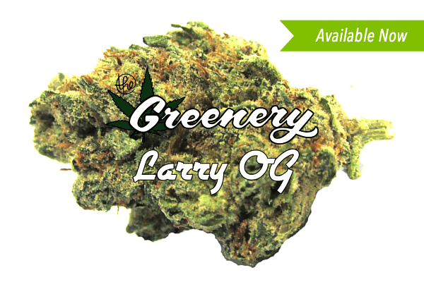 Weed strains Larry OG Durango Greenery