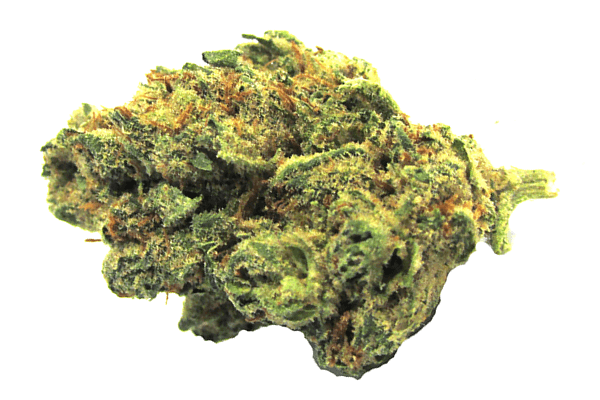 Weed Strain Larry OG Durango Greenery