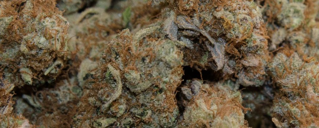 Today's marijuana selection at The Greenery in Durango, Colorado