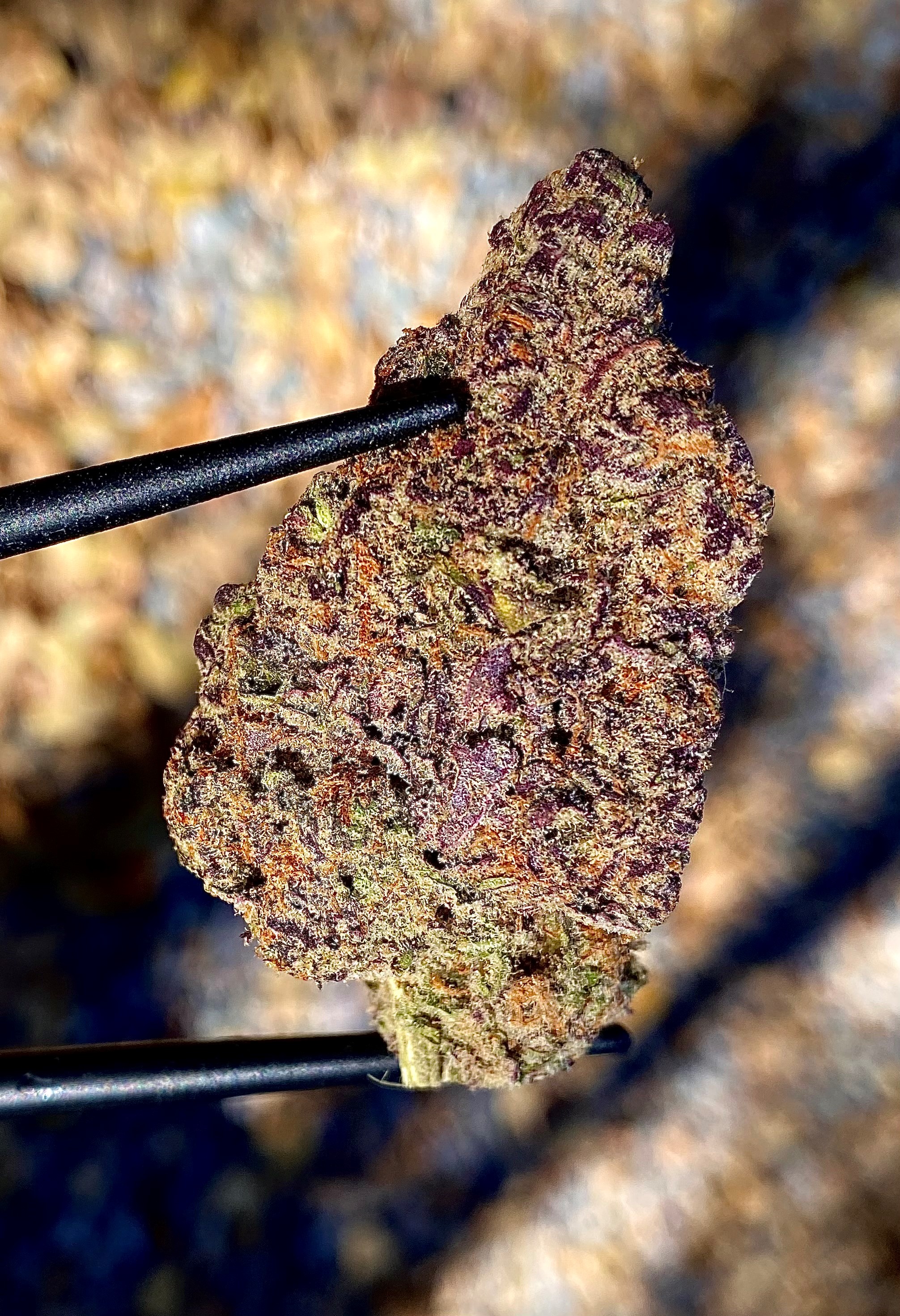 Flavor-Crystals.jpg