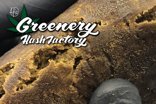 The Greenery Hash Factory